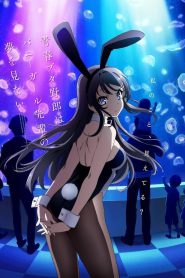 Seishun Buta Yarou wa Santa Claus no Yume wo Minai Sub Español