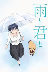 With You and the Rain Sub Español
