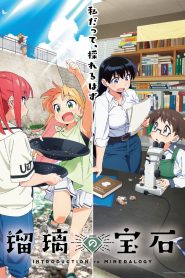 Ruri no Houseki Sub Español